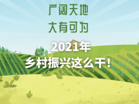 广阔天地 大有可为 2021年乡村振兴这么干！