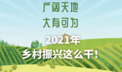 2021年乡村振兴这么干！